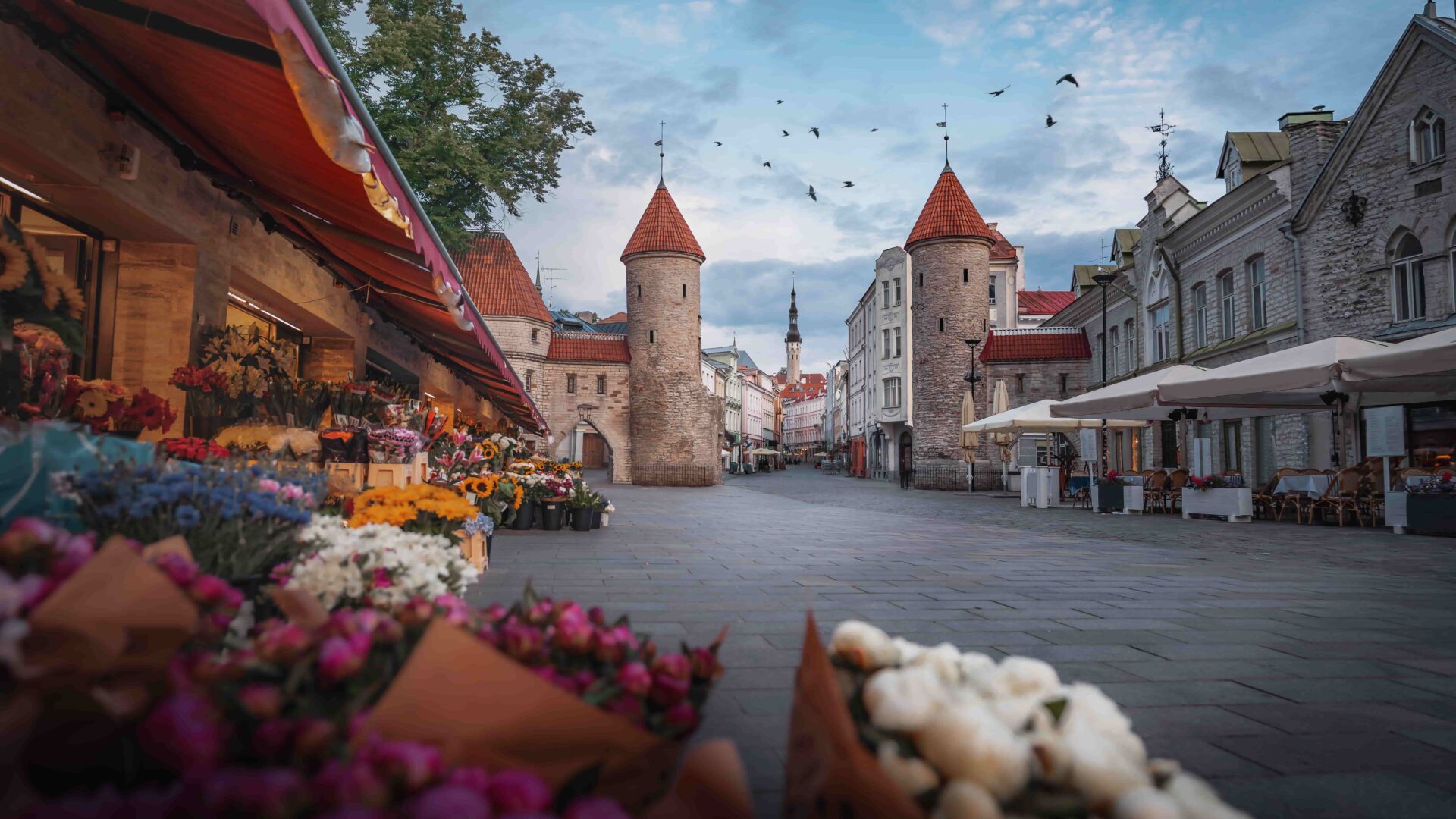 mida teha tallinnas